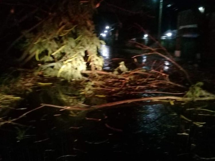 Regresan las lluvias y causan daños