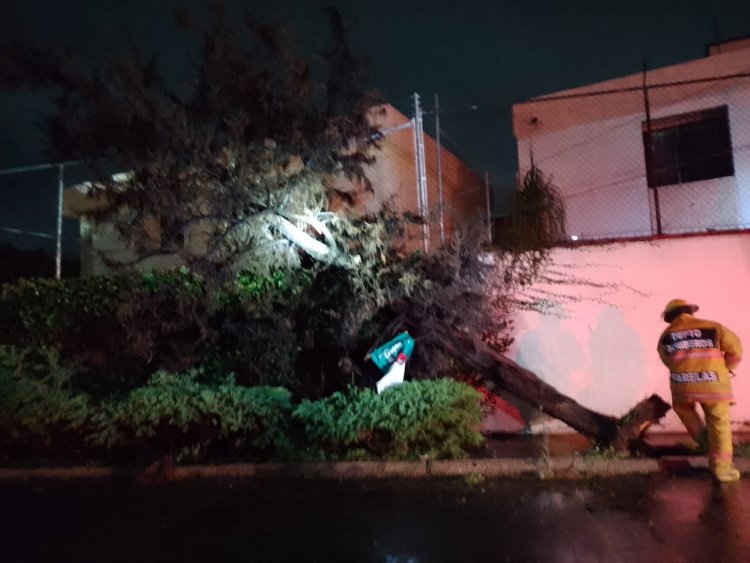 Regresan las lluvias y causan daños