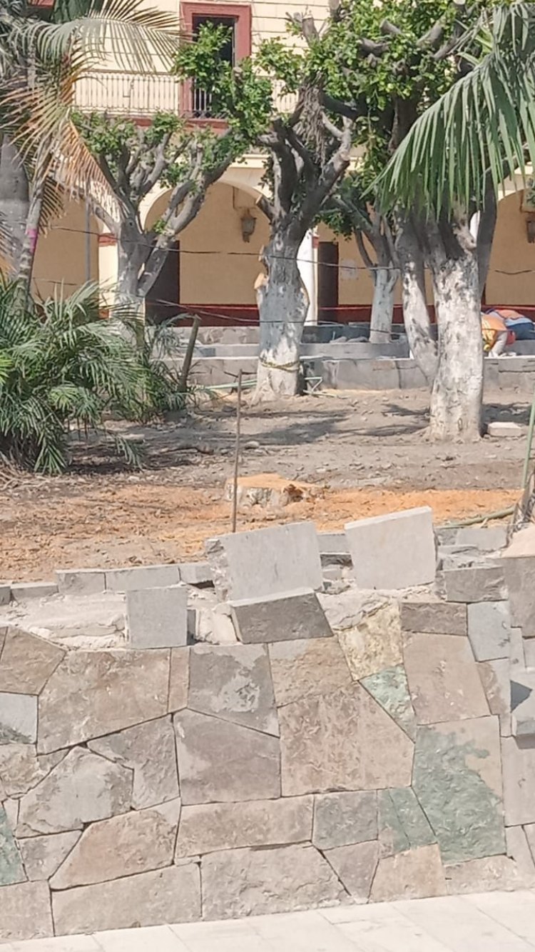 Por obras de la Sedatu, hay  tala inmoderada en Cuautla