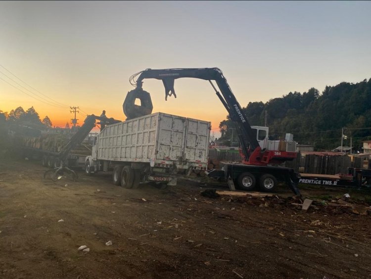 Golpe a talamontes de Huitzilac con operativo de fuerzas federales