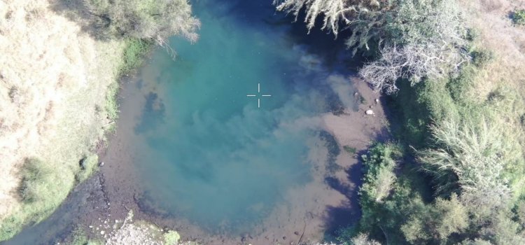 Con perros y drones, buscan a los 2 niños desaparecidos