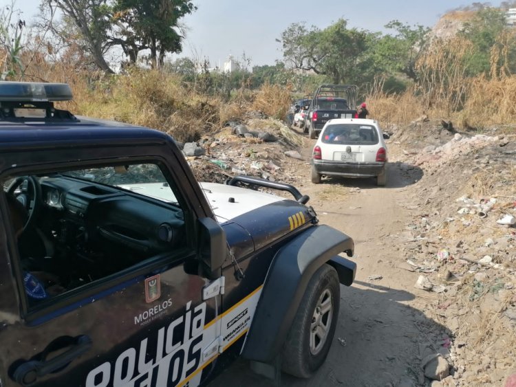 Con perros y drones, buscan a los 2 niños desaparecidos