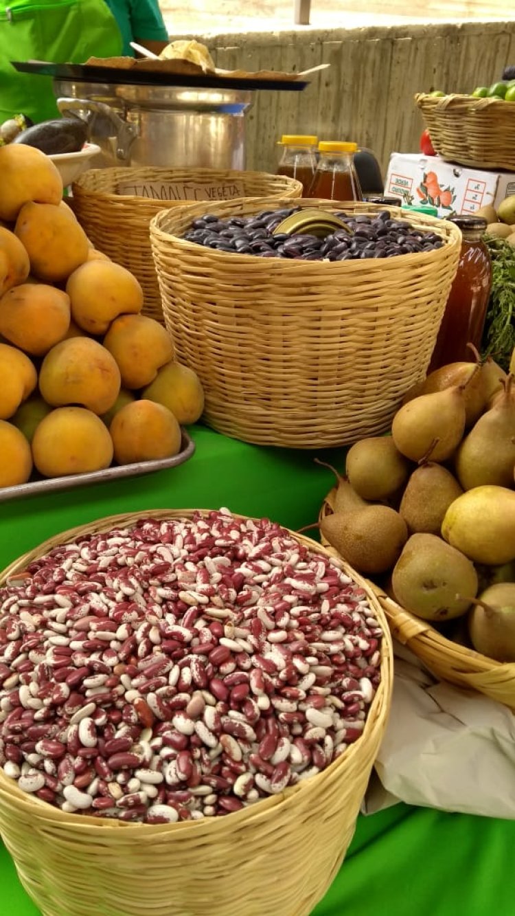 El mercadito verde será  permanente en Cuautla