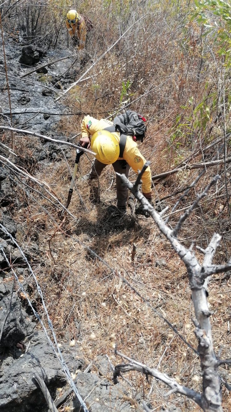 Se combatía este jueves incendio forestal en paraje de Tepoztlán