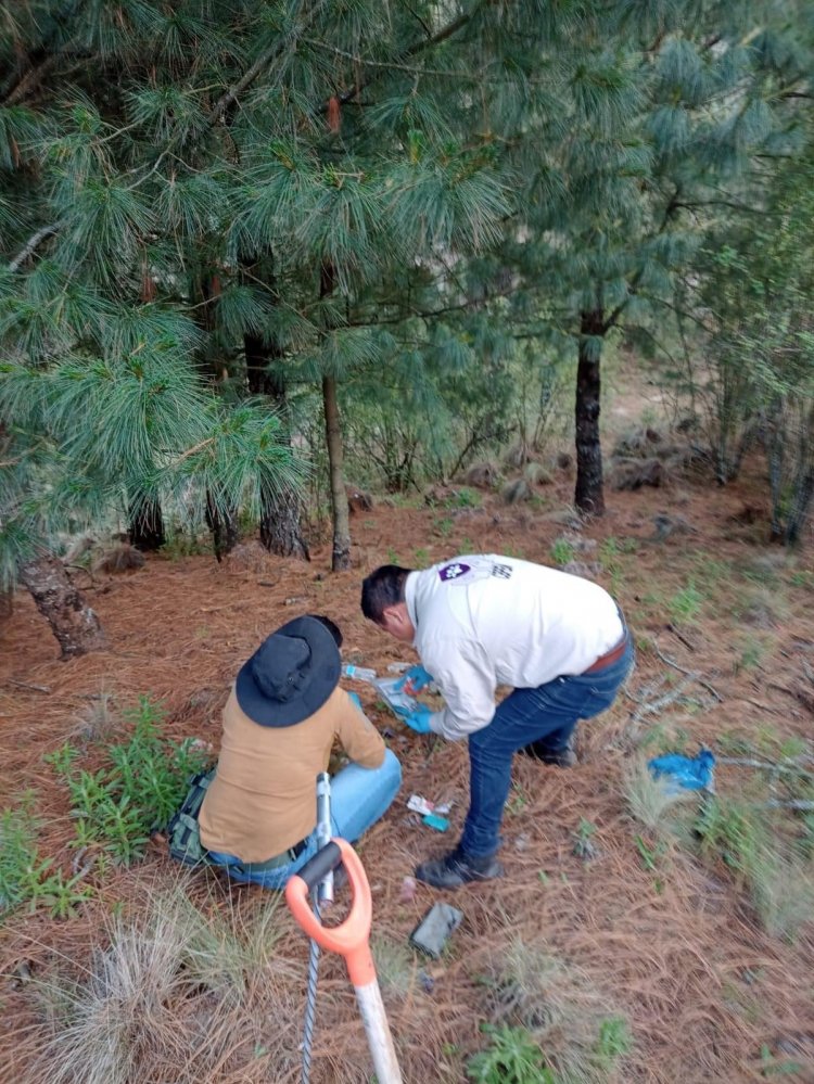 Aparecieron restos óseos en el municipio de Huitzilac