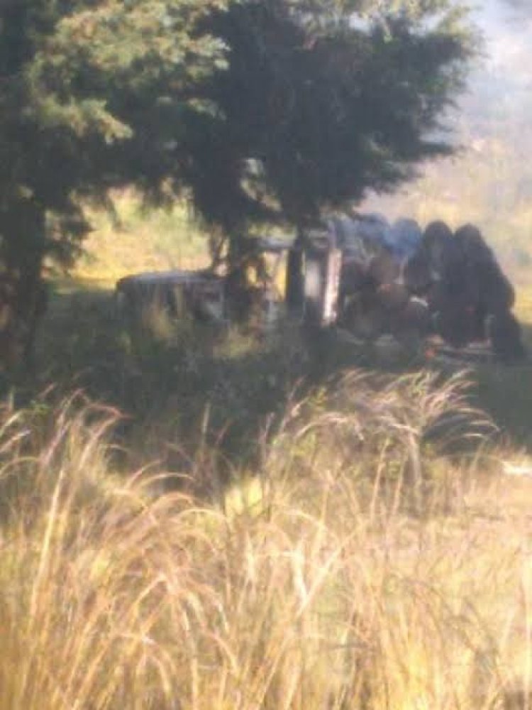 Autos incendiados presuntamente por talamontes tras operativo