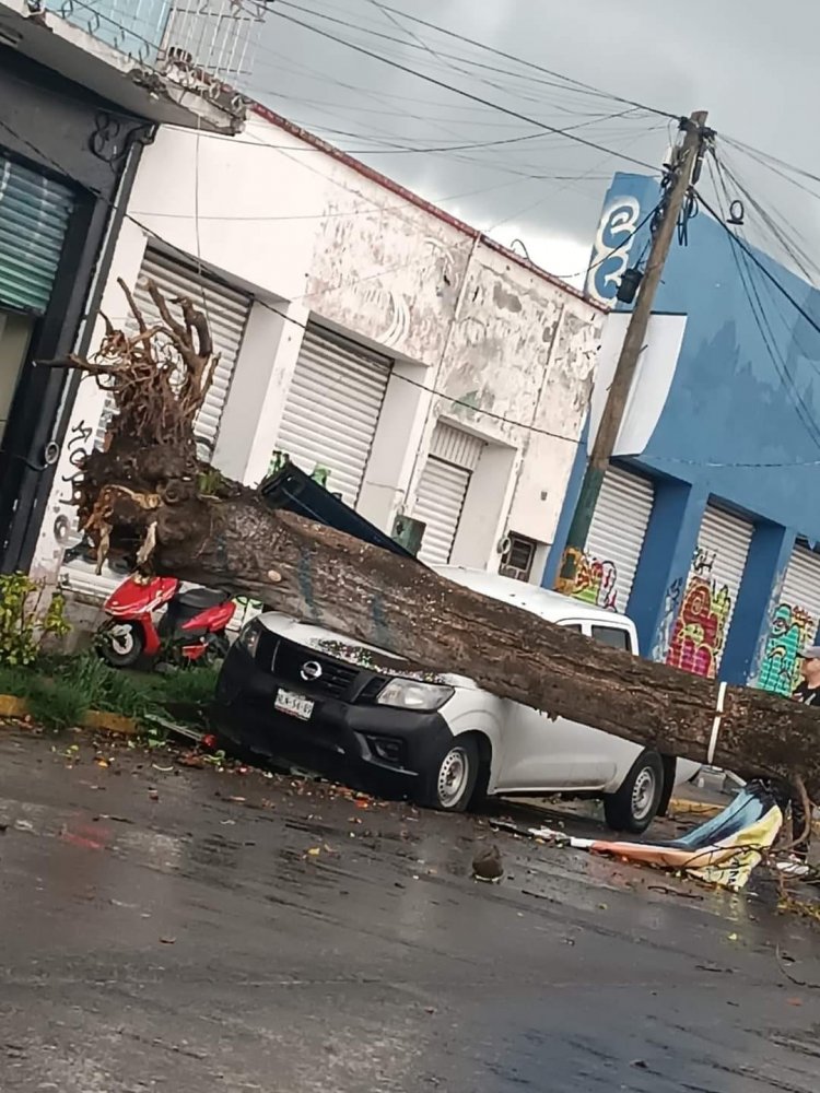Nuevo golpe a comerciantes del H. Galeana, ahora propinado por la lluvia