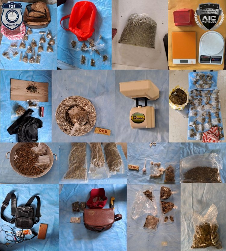 Cayeron cuatro con drogas y armas en cateo en la capital