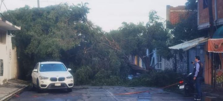 Lluvia se lleva puestos de vendedores en Cuautla