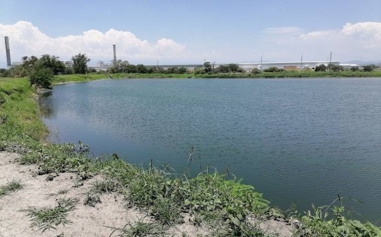 Ni a la mitad de capacidad están las presas del estado