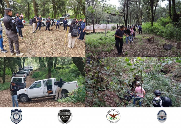 En una cueva de Huitzilac, localizaron restos humanos