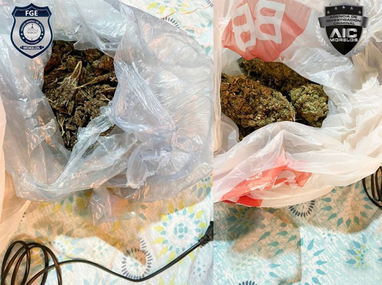 En cateo en Coatetelco, dan golpe a vendedores de droga