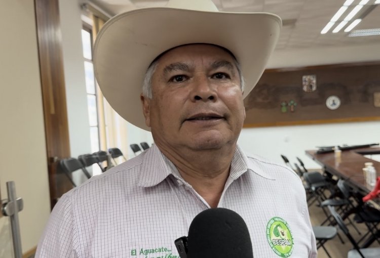 Que el robo de cultivos se tipifique como delito piden