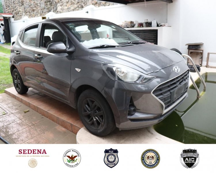 Felinos y vehículos decomisados en cateo de fuerzas locales y federales