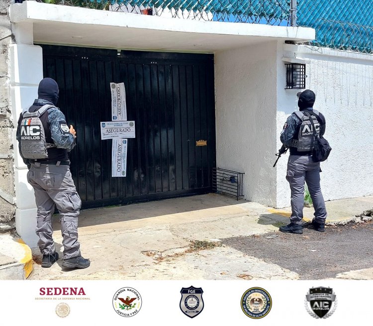 Felinos y vehículos decomisados en cateo de fuerzas locales y federales