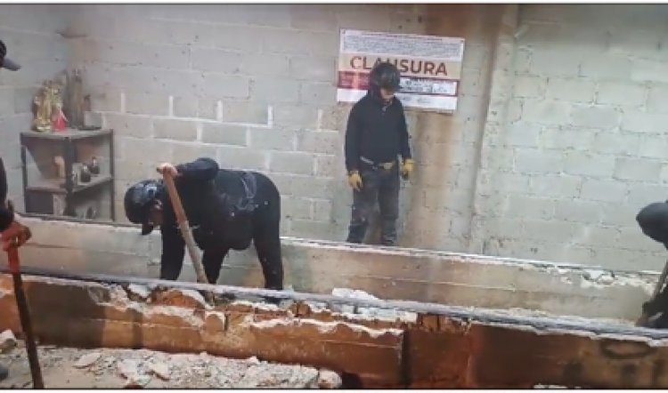 Se dio golpe a taladores que operan entre Morelos y CDMX