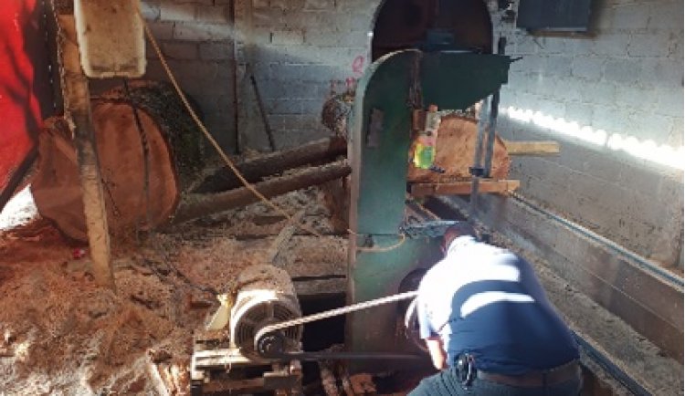 Se dio golpe a taladores que operan entre Morelos y CDMX