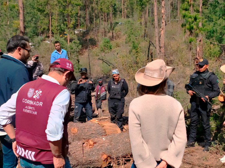 Aseguramiento de madera en   límites Morelos-CDMX-Edomex