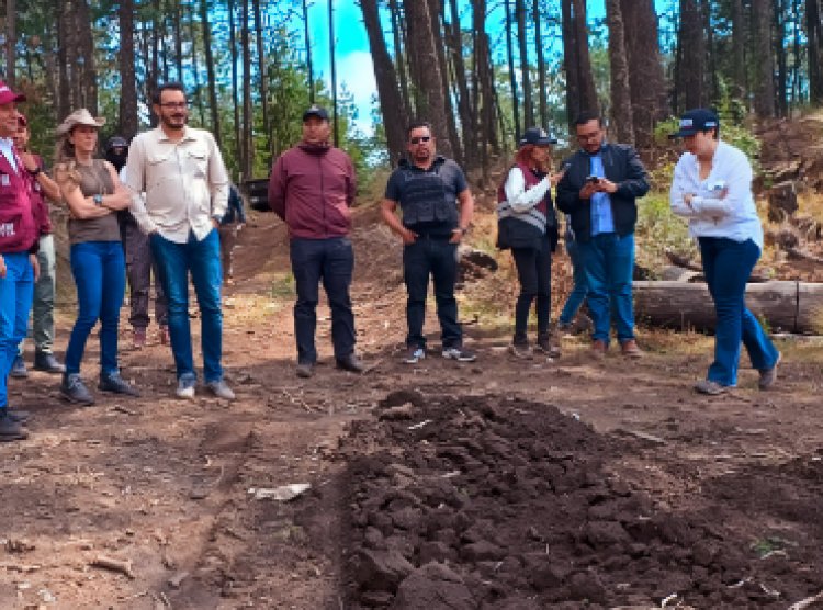 Aseguramiento de madera en   límites Morelos-CDMX-Edomex