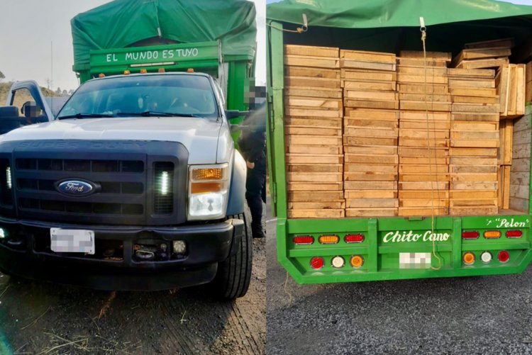 Aseguramiento de madera en   límites Morelos-CDMX-Edomex