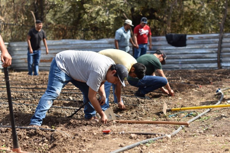 Viene primera Expo Agronómica del Sur