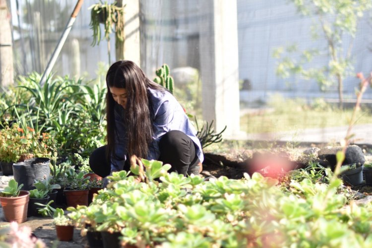 Viene primera Expo Agronómica del Sur