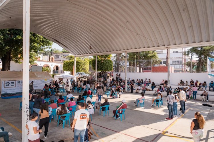 Llegó a Ahuatepec el registro  de mascotas con esterilización