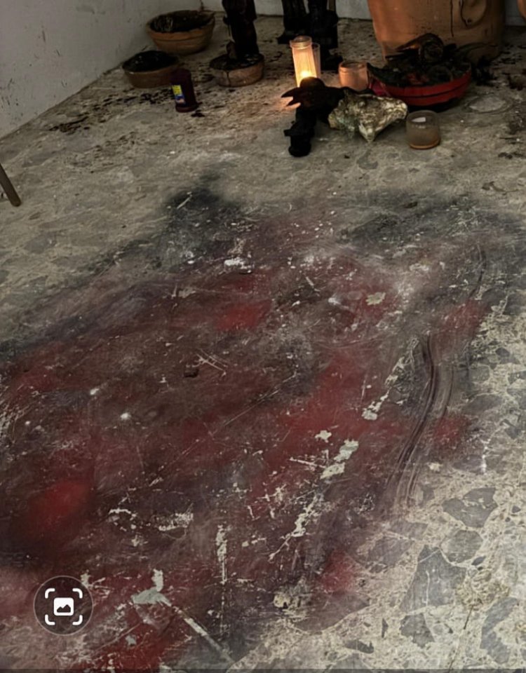 Son restos animales y humanos los hallados en cateo en Cuernavaca