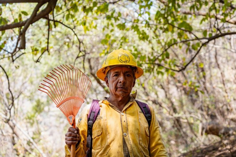 Gran reconocimiento de la gobernadora  a quienes abatieron incendio en Tepoz