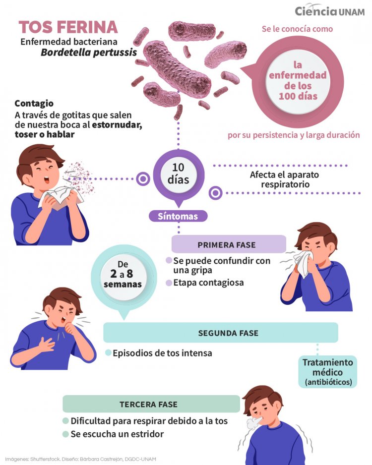 Exhortan a evitar contagios  de tos ferina en la entidad