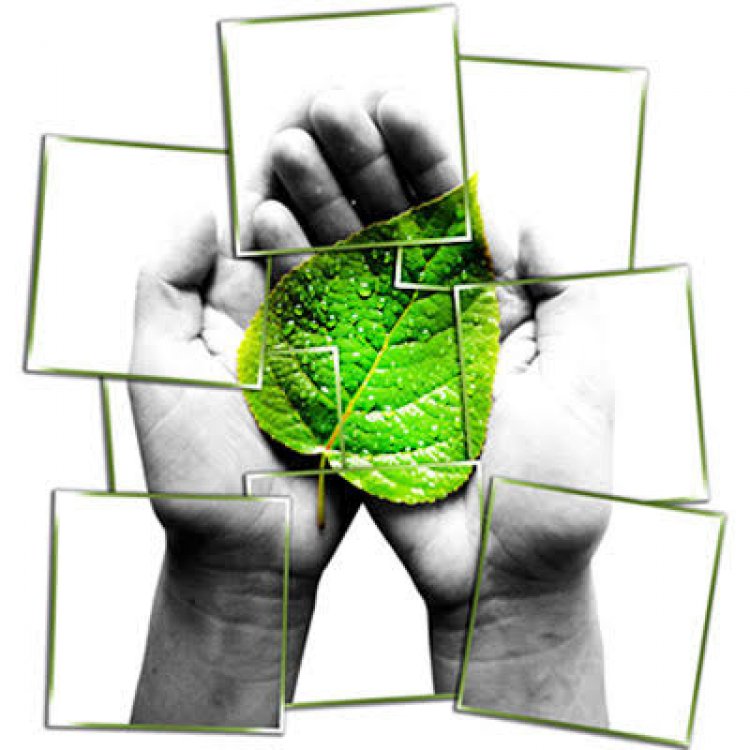 Fundamental, la interdisciplina para abordar el ambiente y la sociedad