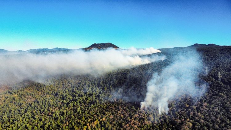 Un voraz siniestro en bosque de Tepoztlán se combate desde aire