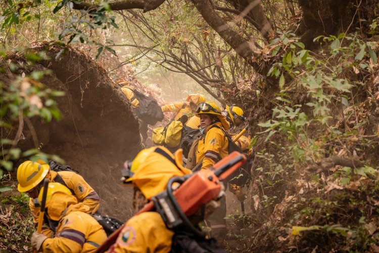 Complejo, un incendio en Tepoztlán; otros, ya en control y liquidación