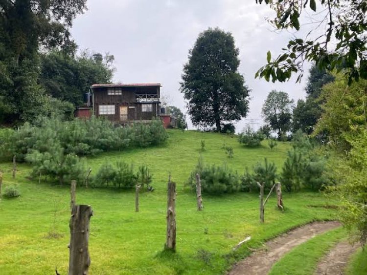 Invitan a ser guardián  del bosque en Huitzilac