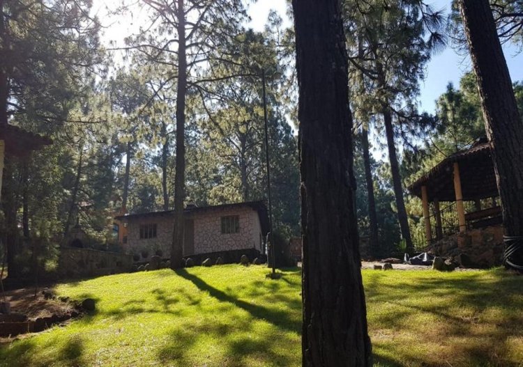 Invitan a ser guardián  del bosque en Huitzilac