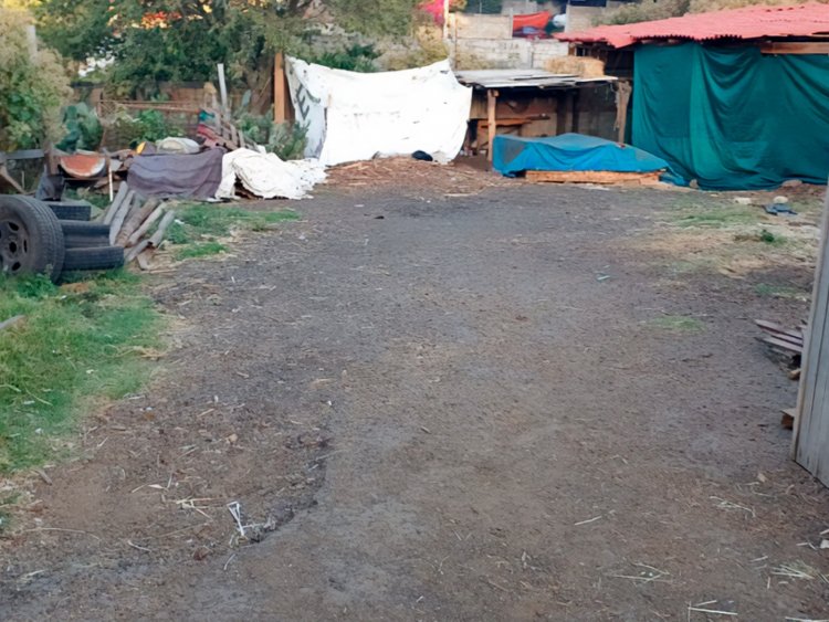 Desmantelan aserraderos clandestinos en Huitzilac