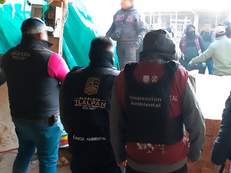 Desmantelan aserraderos clandestinos en Huitzilac