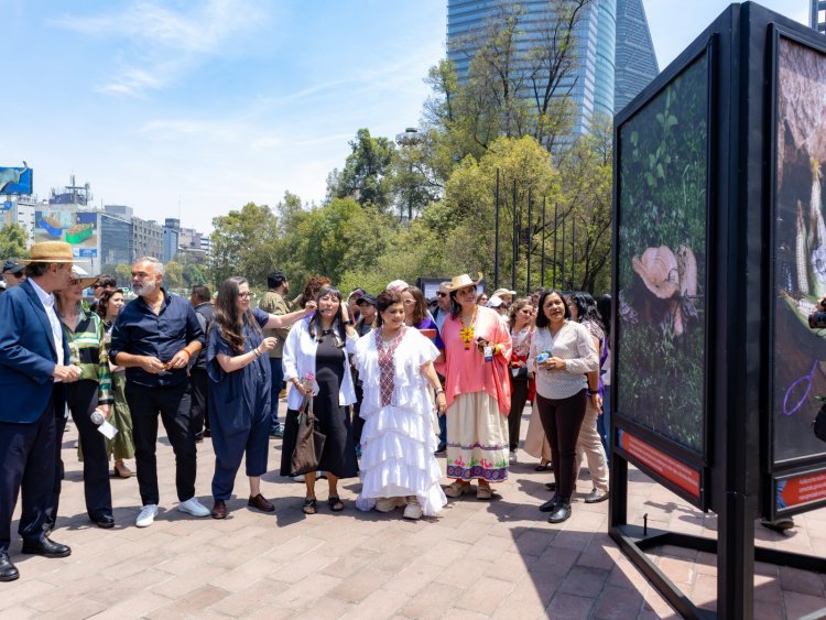 Morelos, presente en Spora Festival del Bosque de 2025