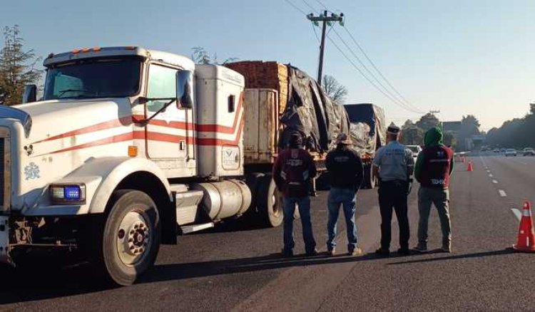 Agarraron camión con madera ilegal en la México-Cuernavaca
