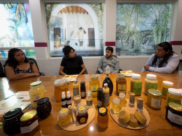 Invitan a la fiesta  de la miel de 2025