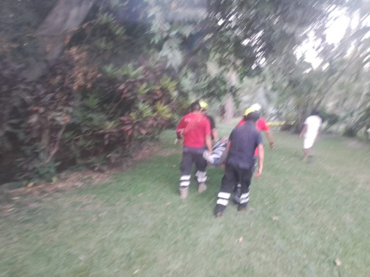 Hubo operativo por adulto  mayor que cayó a barranca