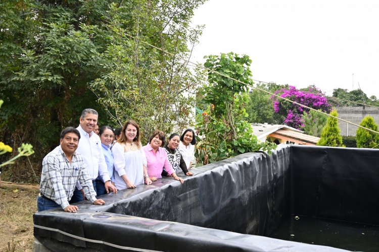 Apoyo del gobierno de la entidad a  producción de durazno y aguacate