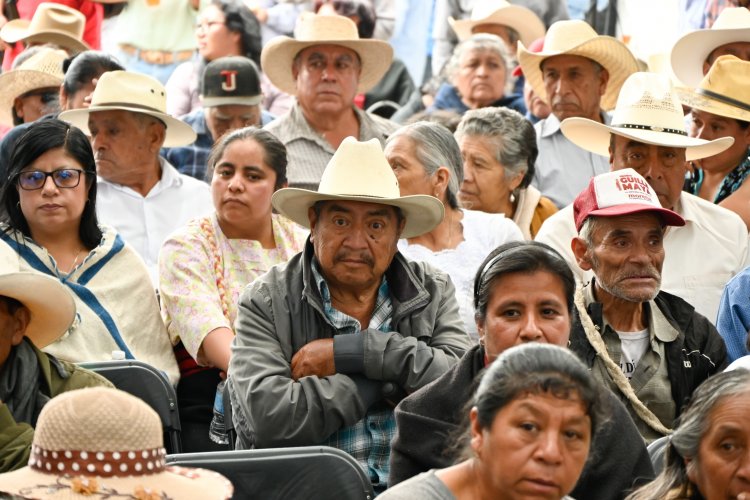 Apoyo del gobierno de la entidad a  producción de durazno y aguacate