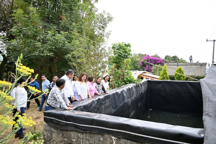 Apoyo del gobierno de la entidad a  producción de durazno y aguacate