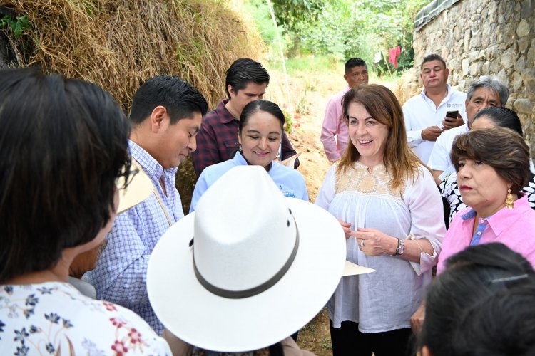 Apoyo del gobierno de la entidad a  producción de durazno y aguacate