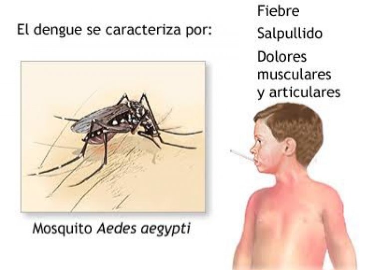 Muy dañino, automedicarse  si se está enfermo de dengue