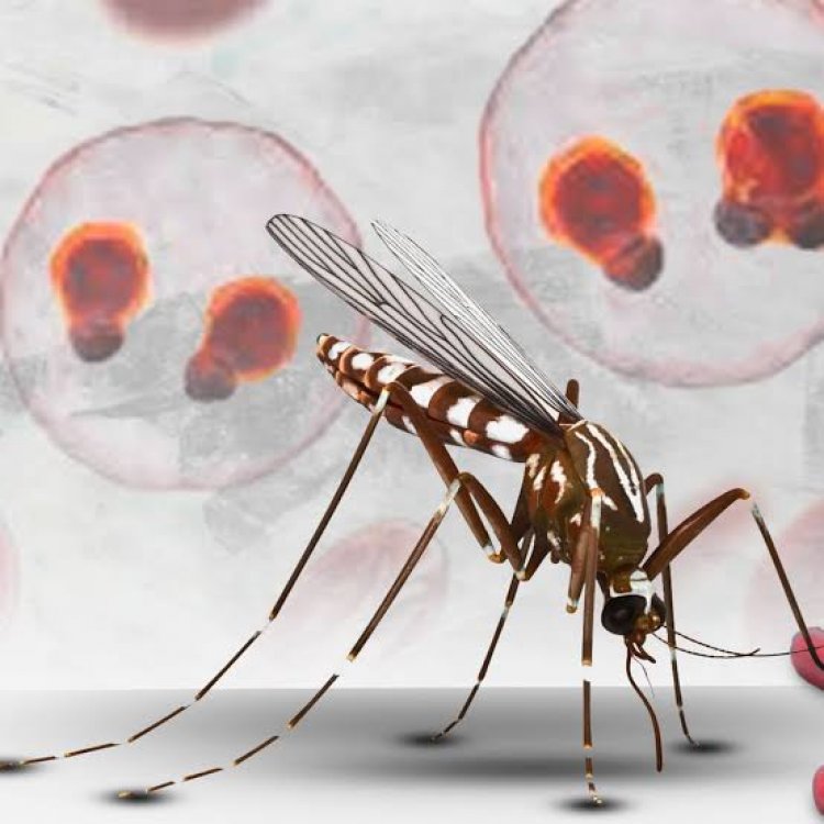 Fundamental, mantener  a Morelos sin paludismo