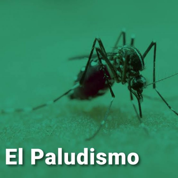 Fundamental, mantener  a Morelos sin paludismo