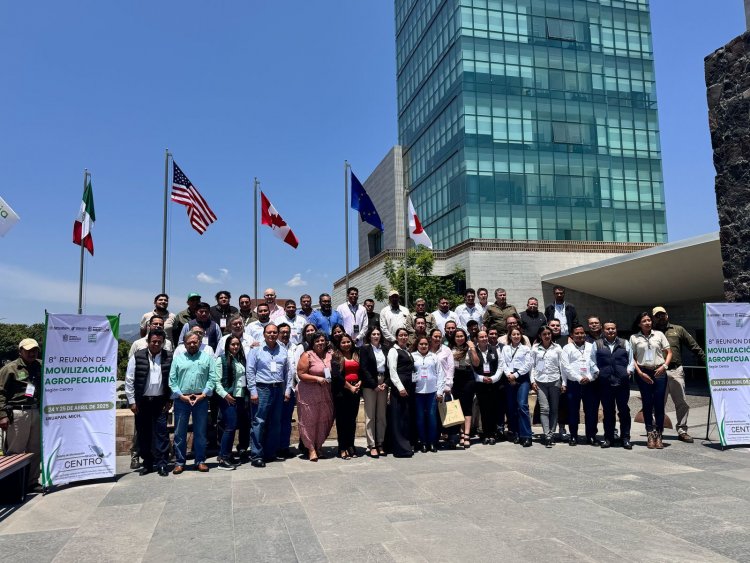 Apoya gobierno de Morelos  la exportación del aguacate