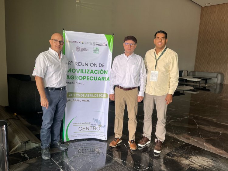 Apoya gobierno de Morelos  la exportación del aguacate